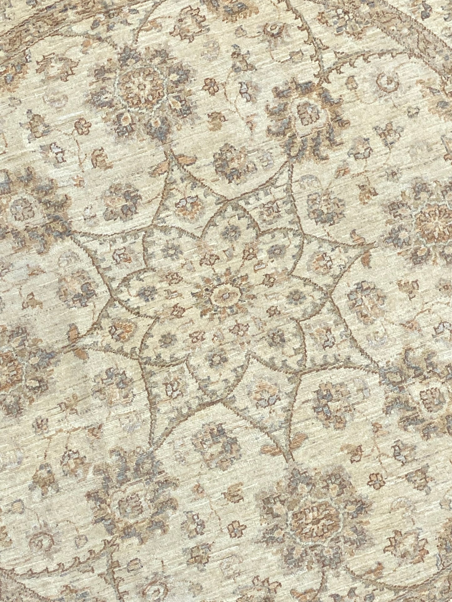 Chobi Ziegler - Round I - 6 1/2