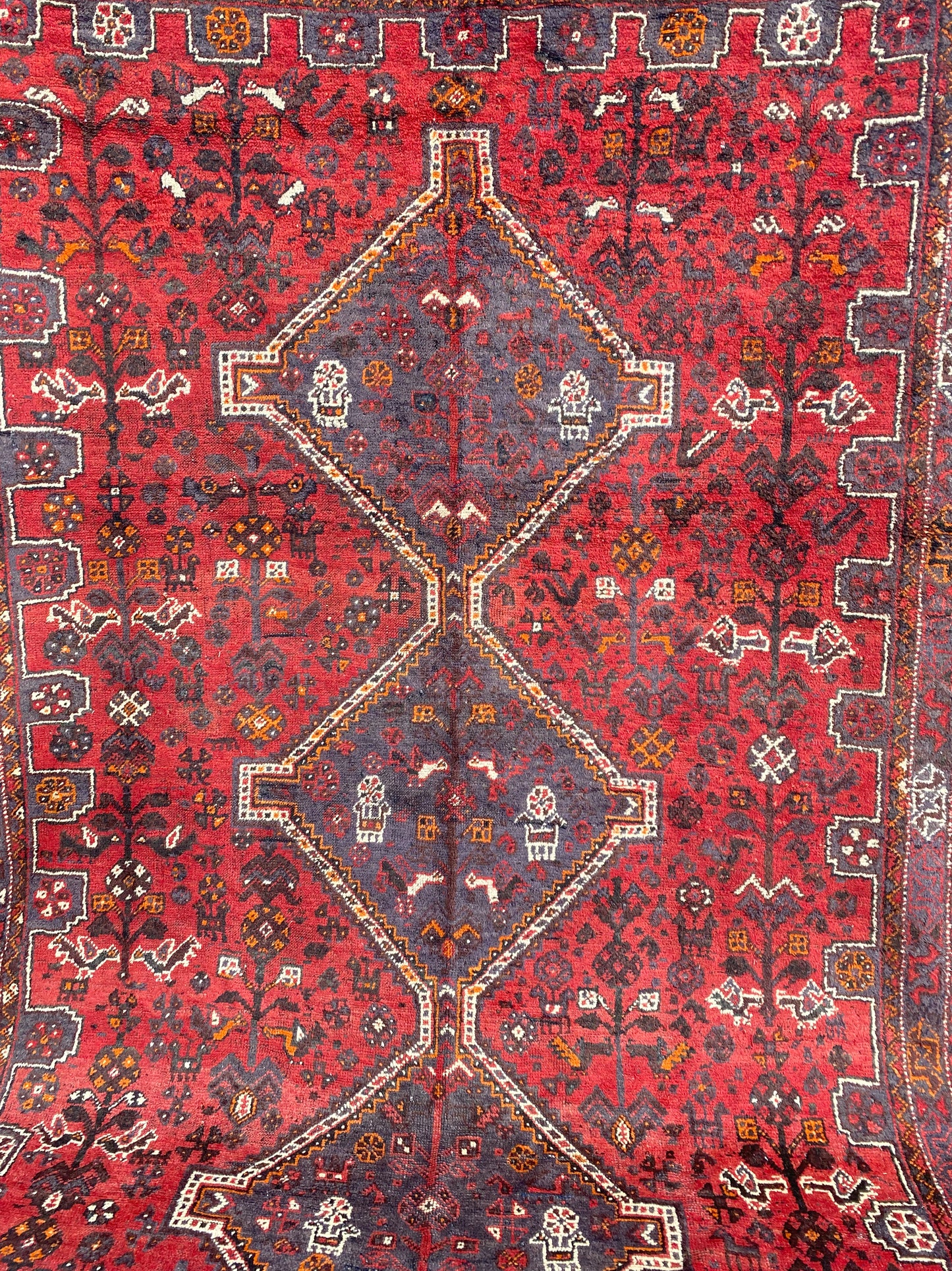 Sherazi Qashqai - 7x10